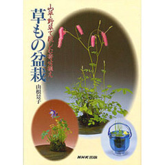 草もの盆栽　山草・野草で親しむ寄せ植え