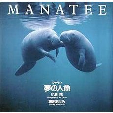 マナティ夢の人魚