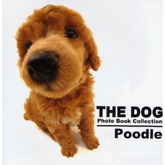 ＴＨＥ　ＤＯＧ　Ｐｈｏｔｏ　Ｂｏｏｋ　Ｃｏｌｌｅｃｔｉｏｎ　Ｐｏｏｄｌｅ