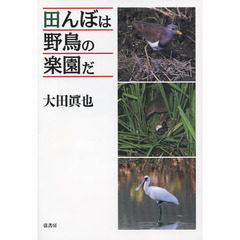 田んぼは野鳥の楽園だ