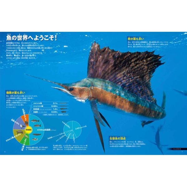 送料込み 沖縄海中生物図鑑 全巻（11冊）セット。 www.golditacco.it