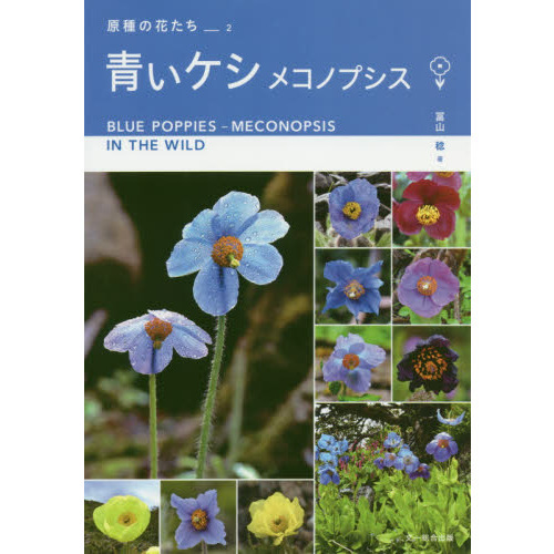 ֥ͥåȥåԥ󥰤㤨ĤᥳΥץפβǤʤ1,980ߤˤʤޤ