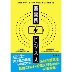 蓄電所ビジネス