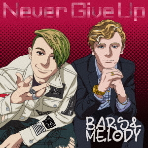 ֥ͥåȥåԥ󥰤㤨NeverGiveUpפβǤʤ3,080ߤˤʤޤ
