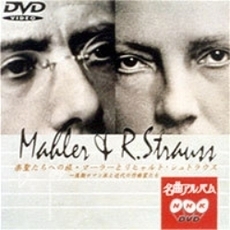 NHK DVD 名曲アルバム 楽聖たちへの旅 第20章 マーラーとリヒャルト・シュトラウス ～後期ロマン派と近代の作曲家たち（ＤＶＤ）