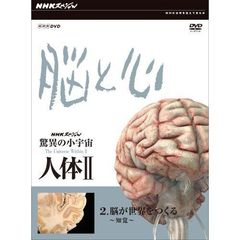 NHKスペシャル 驚異の小宇宙 人体 II 脳と心 第2集 脳が世界をつくる～知覚～（ＤＶＤ）