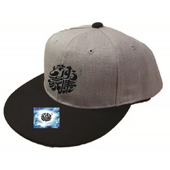 大河ドラマ「どうする家康」タイトルロゴ使用許諾商品 刺繍CAP（Grey/Black）