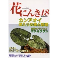 花にんき　　１８