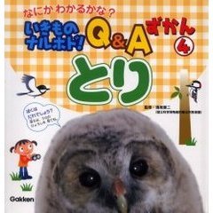 いきものナルホド！Ｑ＆Ａずかん　なにかわかるかな？　４　とり