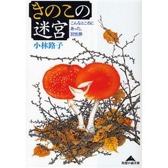 きのこの迷宮　こんなところにあった、別世界