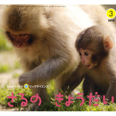 サンチャイルド・ビッグサイエンス　２０１０－３　さるのきょうだい