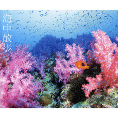 海中散歩