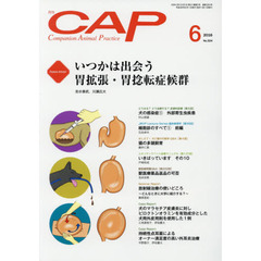 ＣＡＰ　３２４