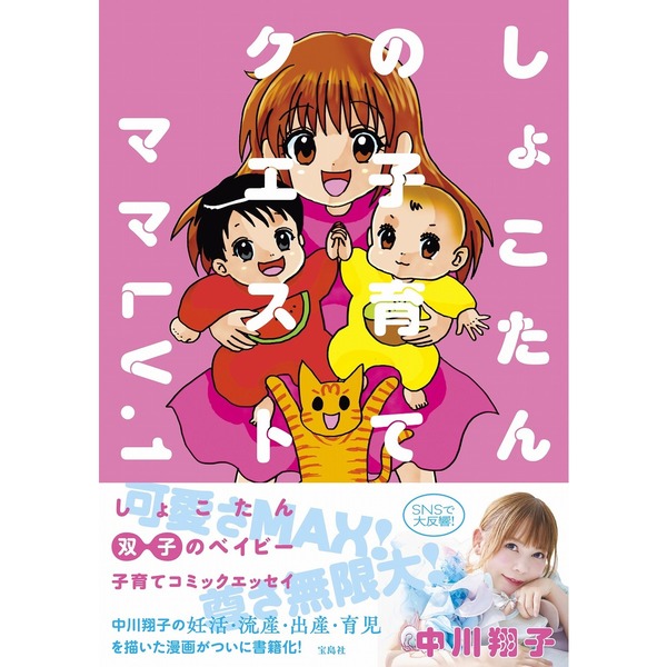 しょこたんの子育てクエスト ママLV.1【セブンネット限定特典：描き