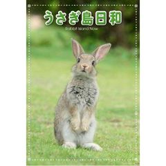 うさぎ島日和（ＤＶＤ）