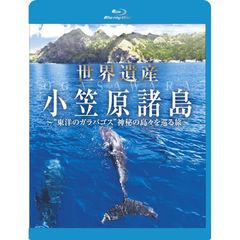 世界遺産 小笠原諸島 “東洋のガラパゴス” 神秘の島々を巡る旅（Ｂｌｕ－ｒａｙ）