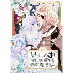 兄サーの姫～推しの妹に転生したけど、絶対に結ばれてみせます！～ 12