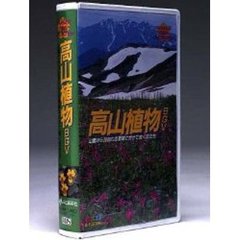 ビデオ　高山植物