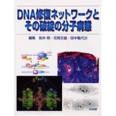 ＤＮＡ修復ネットワークとその破綻の分子病態