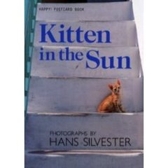 Ｋｉｔｔｅｎ　ｉｎ　ｔｈｅ　Ｓｕｎ