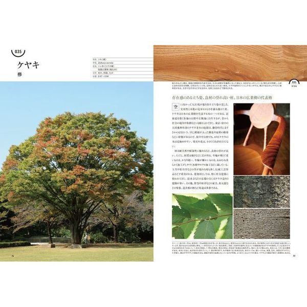 樹木と木材の図鑑 種類・特徴から材質・用途までわかる 日本の有用種101 樹木と木材の図鑑 種類・特徴から材質・用途までわかる 日本の
