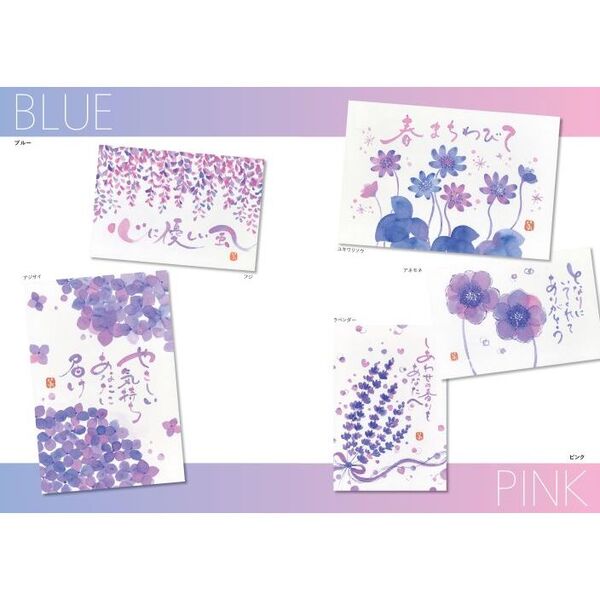 カラー筆ペン2色で描ける花の絵手紙 2色なのに色彩豊か！ 使用した筆