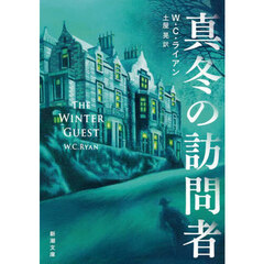 真冬の訪問者