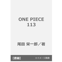 ONE PIECE 113
