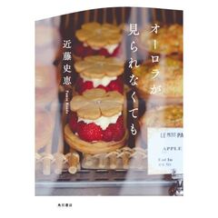 オーロラが見られなくても