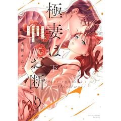 極妻はお断り～ヤクザの若頭に溺愛される1ヶ月～ 下