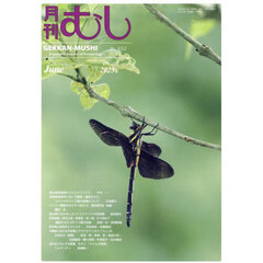 月刊むし　2025年6月号
