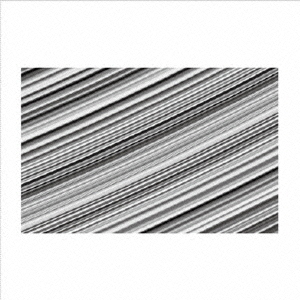 ֥ͥåȥåԥ󥰤㤨Apex?MagnetismAngular?momentumפβǤʤ2,200ߤˤʤޤ