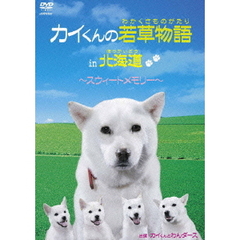 カイくんとわんダース／カイくんの若草物語 in 北海道 ～スウィートメモリー～（ＤＶＤ）