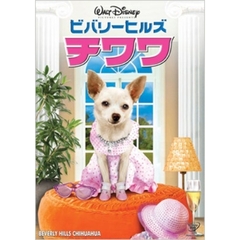 ビバリーヒルズ・チワワ（ＤＶＤ）