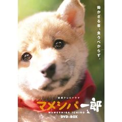 連続テレビドラマ マメシバ一郎 DVD-BOX（ＤＶＤ）