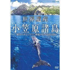 世界遺産 小笠原諸島 “東洋のガラパゴス” 神秘の島々を巡る旅（ＤＶＤ）