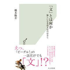 「文」とは何か～愉しい日本語文法のはなし～
