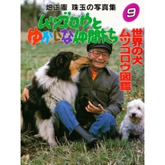 ムツゴロウとゆかいな仲間たち　畑正憲珠玉の写真集　９　世界の犬ムツゴロウ図鑑