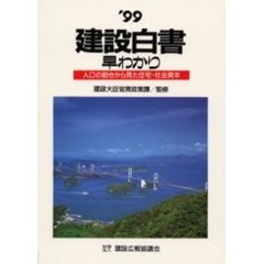 建設白書早わかり　’９９