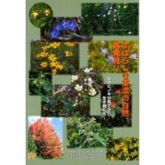 すばらしき東濃の自然、再発見！！　巨大ヒノキが見てきた生き物たち