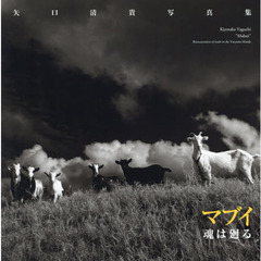 マブイ‐魂は廻る―矢口清貴写真集