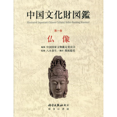 中国文化財図鑑　第１巻　仏像