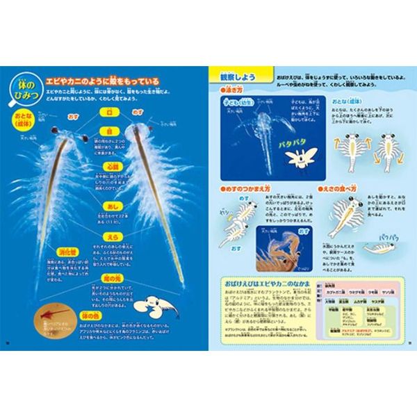 おばけえびすいすい水族館 通販 セブンネットショッピング