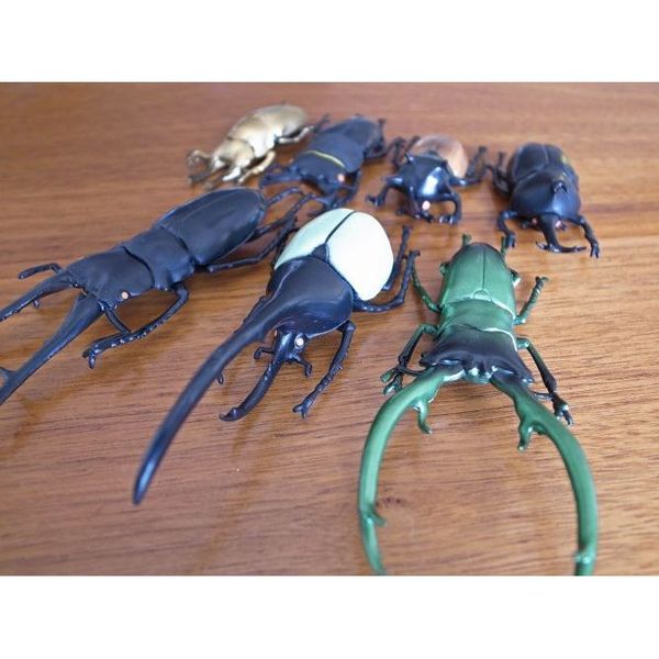 カブトムシ クワガタ フィギュア BIGサイズ 発売モデル - 標本