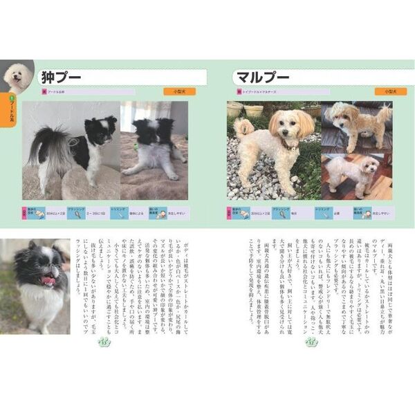 もっとよくわかる犬種図鑑ミックス犬１００種 特徴から飼い方まで 通販｜セブンネットショッピング