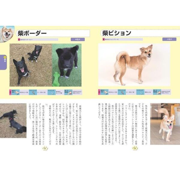もっとよくわかる犬種図鑑ミックス犬100種 特徴から飼い方まで 通販