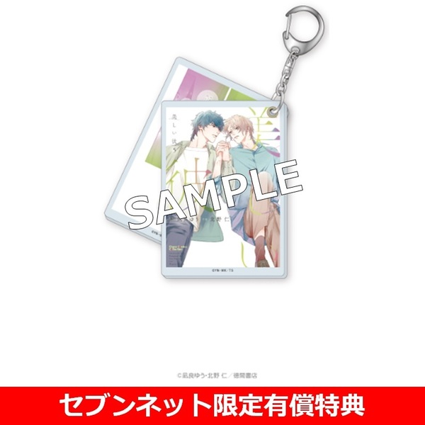 美しい彼セット 美しい彼 1巻～4巻セット【セブンネット限定有償特典：スライド