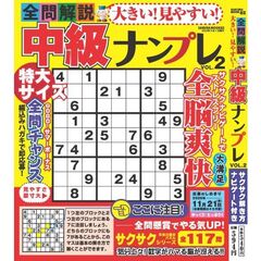大きい！見やすい！全問解説中級ナンプレ　２