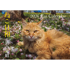 Ｓ１３　ねこ日和