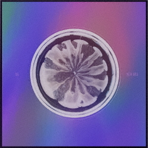 XG/NEW DNA(初回生産限定/X ver.)